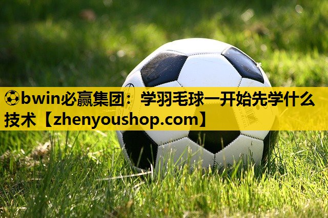 <strong>⚽bwin必赢集团：学羽毛球一开始先学什么技术</strong>