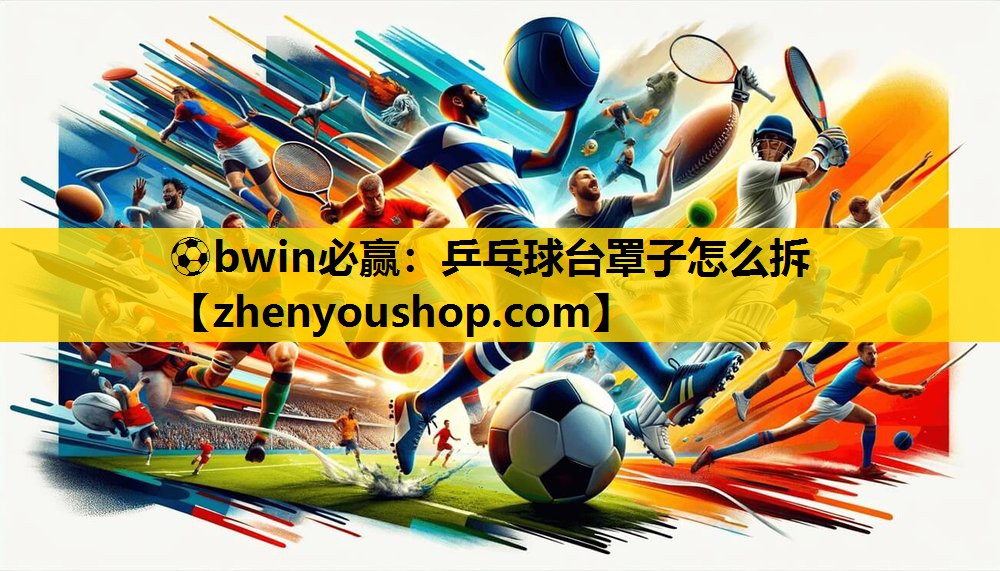 乒乓球台罩子怎么拆