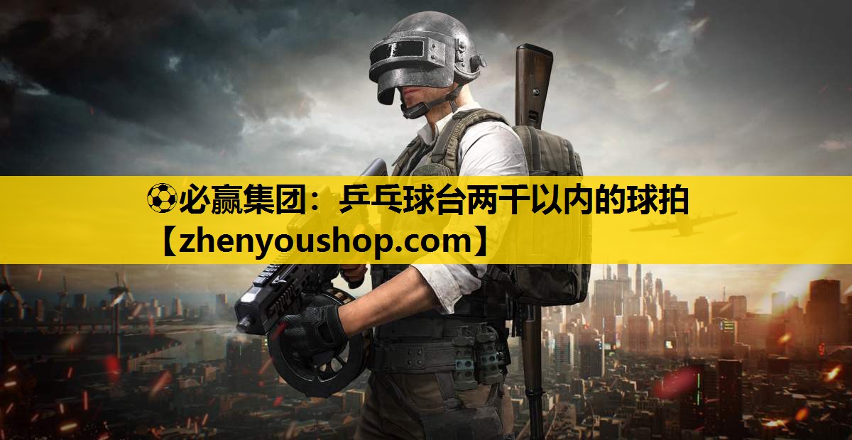 乒乓球台两千以内的球拍