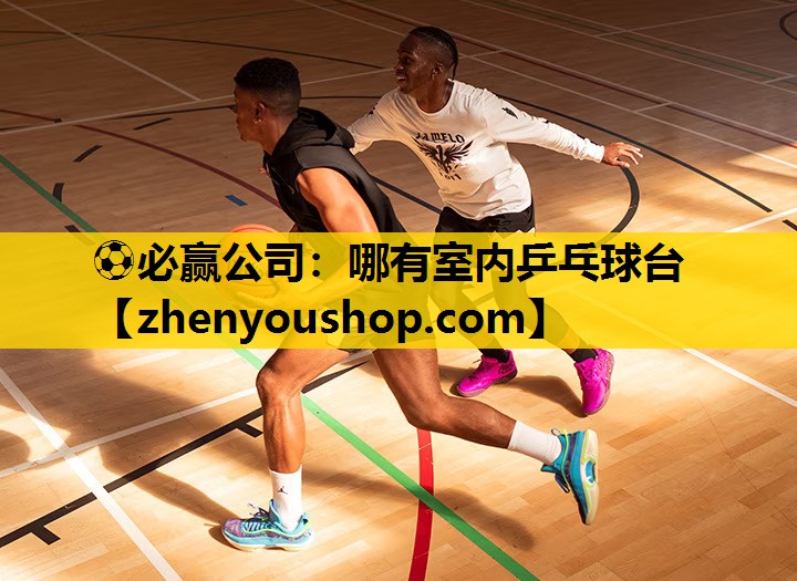 哪有室内乒乓球台