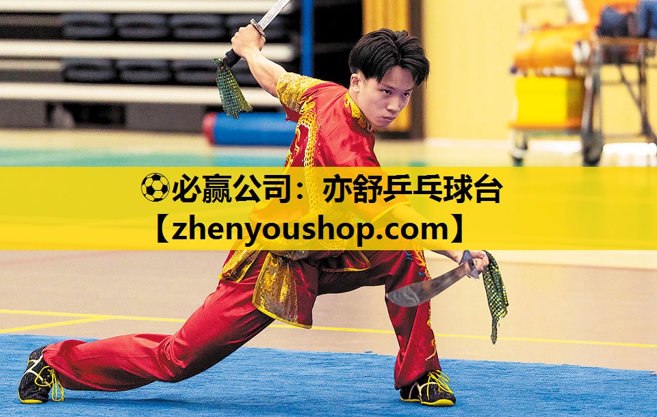 亦舒乒乓球台